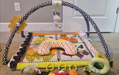 Fisher price play mat