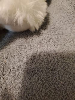 TY CLASSIC KODI.THE DOG