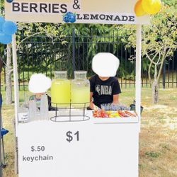 Wooden Lemonade Stand 