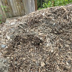 Free Woodchips 