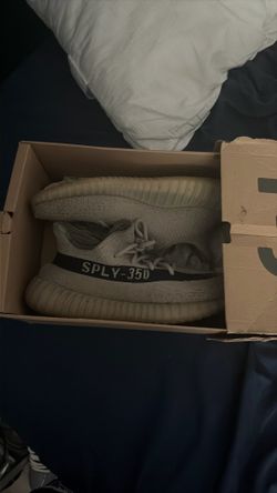 yeezy 350