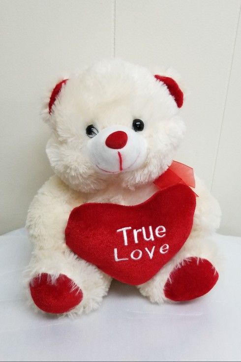 Heart Themed Teddy Bear