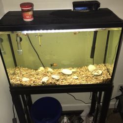 29 Gallon Fish Tank With Supplies 