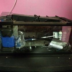 25 gallon terrarium , Fish tank, aquarium, Saltwater, Pond.