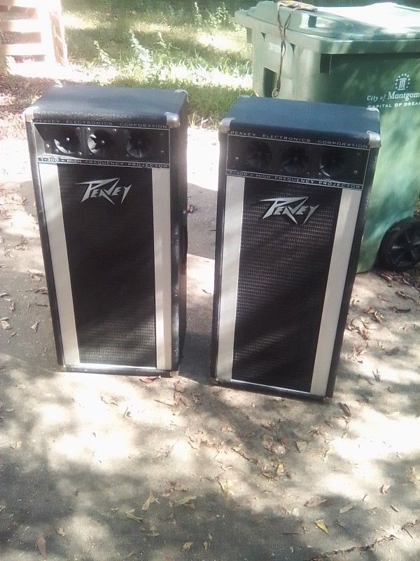 T-300 Peavey