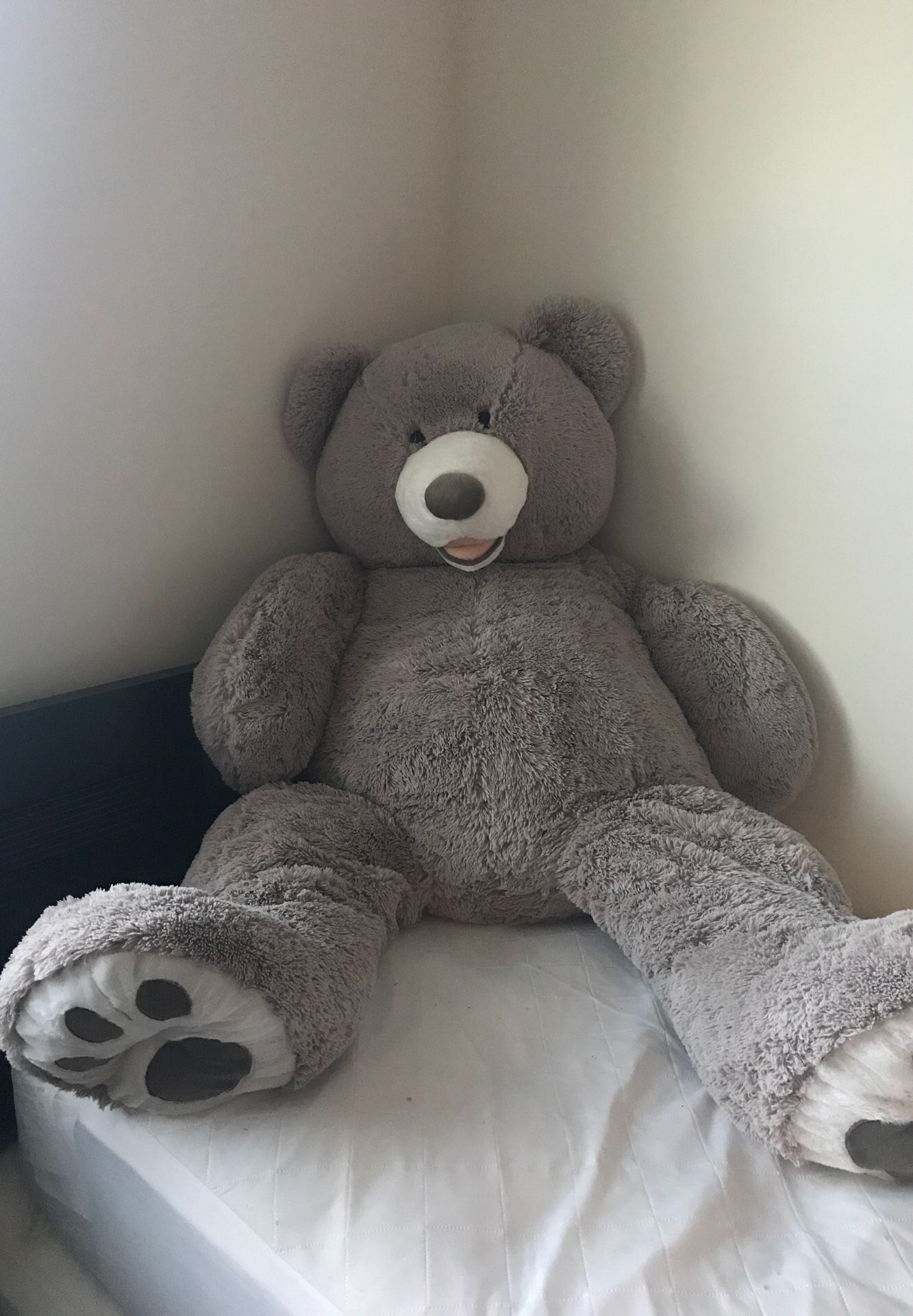 Huge teddy bear