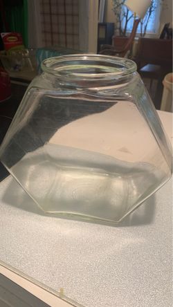 glass fish tank