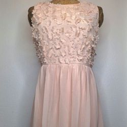 Sleeveless Floral Applique Fit and Flare Dress