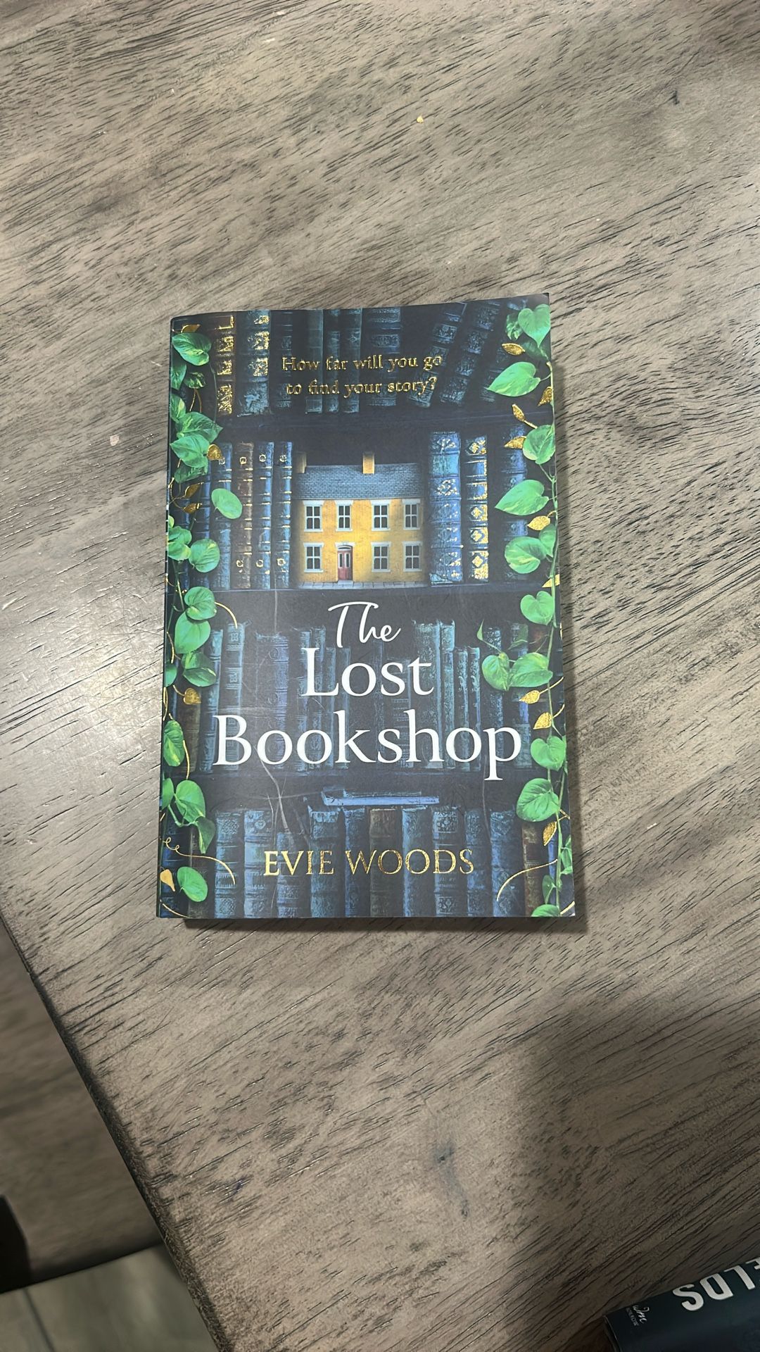 The Lost Bookshop 