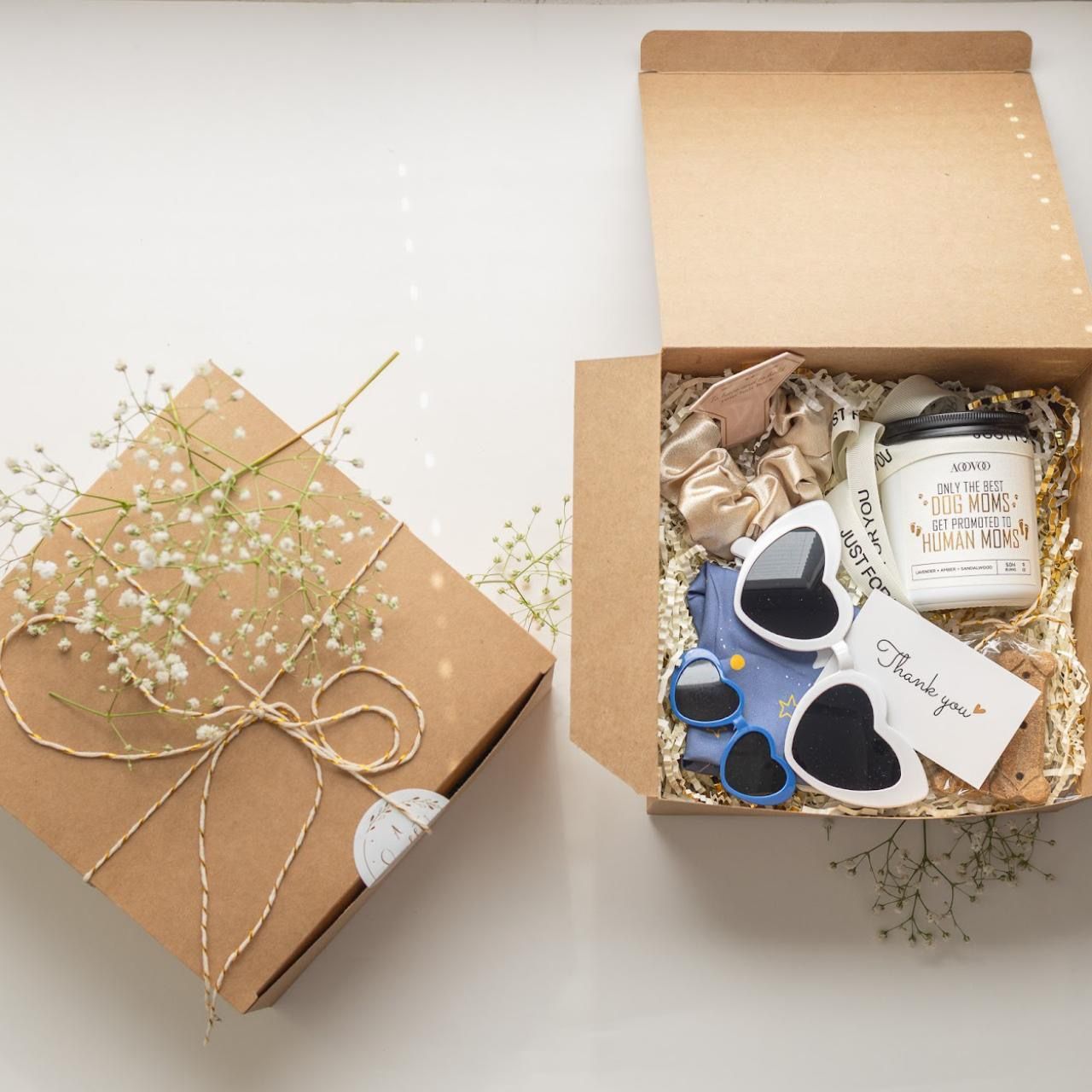 Special Pet Lover Gift Box