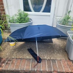 Umbrella 