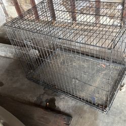 Dog Kennel 