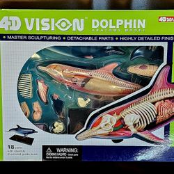 The 4D Dolphin Model is a fun and instructive tool for curious children and adults alike. It includes 18 parts to put together that provide a view int