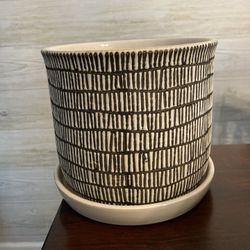 Plant Pot Ceramic 