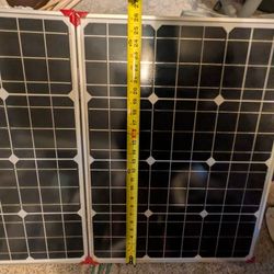 Lion Solar Panel Generator 