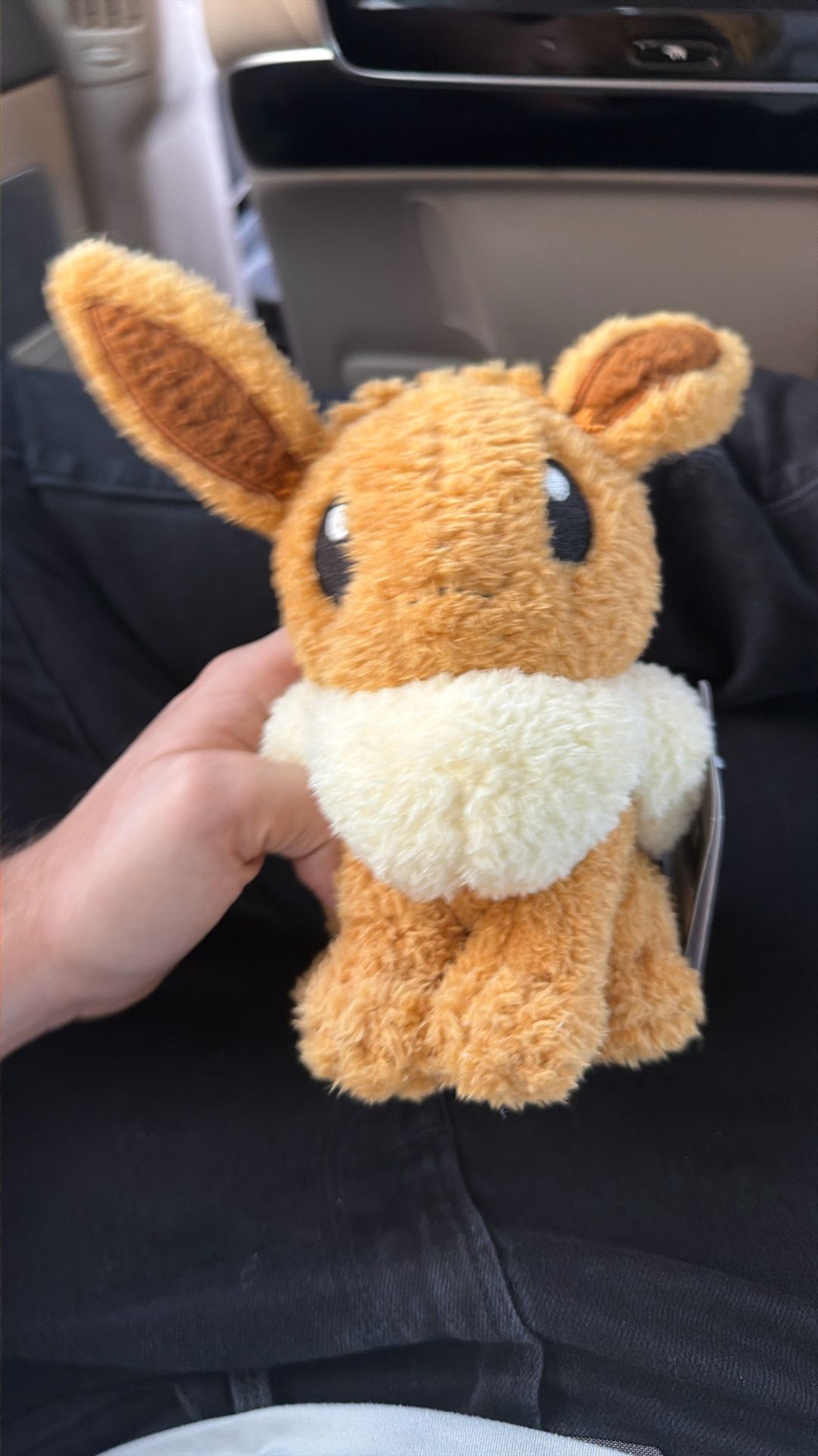 New Eve Pokémon Doll