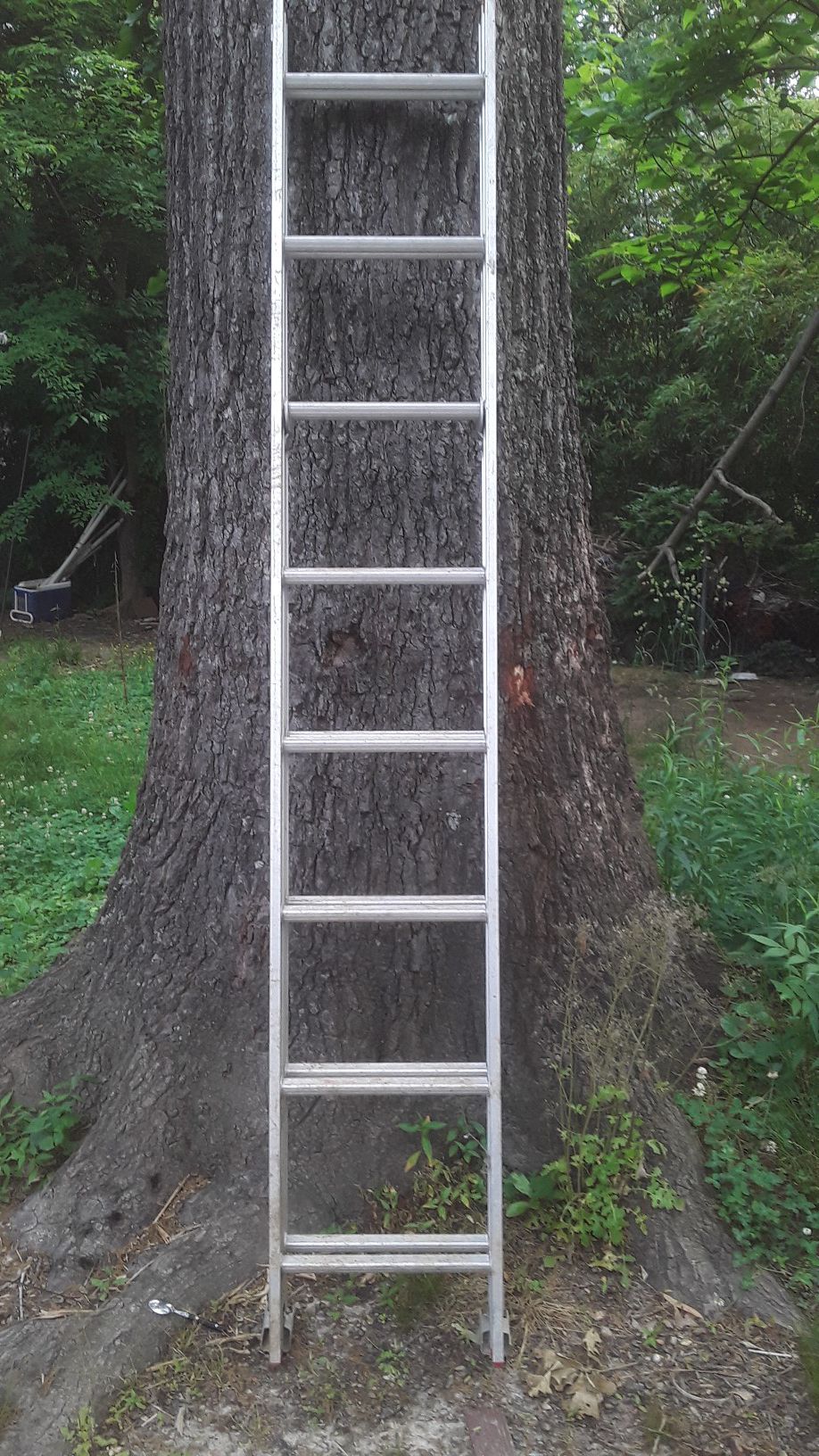 16ft ladder