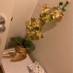 Orchid Flower Decoration Pot Plant 