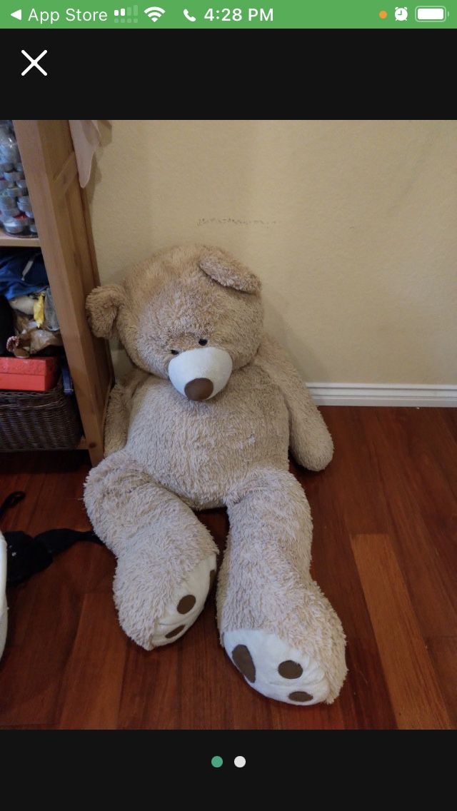 Costco Teddy Bear For Sale!!!!