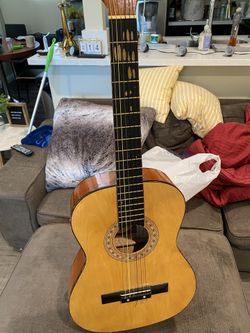 Best harmony acoustic guitar