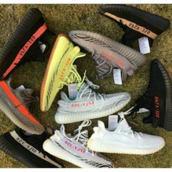 Sneakers Yeezy