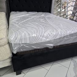 Queen Sizes Bed With Mattress 