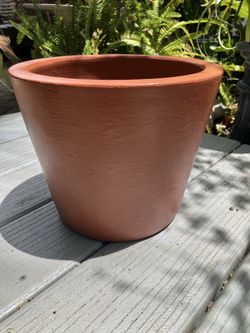 Terracotta Pot: 10.25”W x 10.25”D x 8.5”H