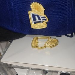 Los Angeles Dodgers World Series Champions PINS
