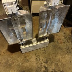 Indoor Grow Light