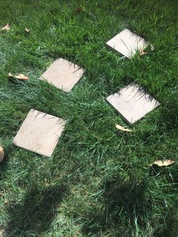 Four stepping stones tan concrete square step stone  12”