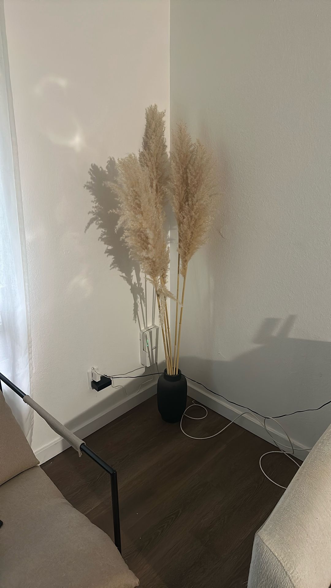 Real Pompas With Vase 