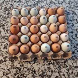 Local Organic Pasture Free Eggs 🥚