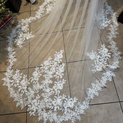 Bride Veil Cathedral