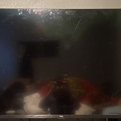 TCL Roku Tv 55 Inch 