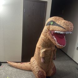 Dinosaur size 8-10, perfect condition