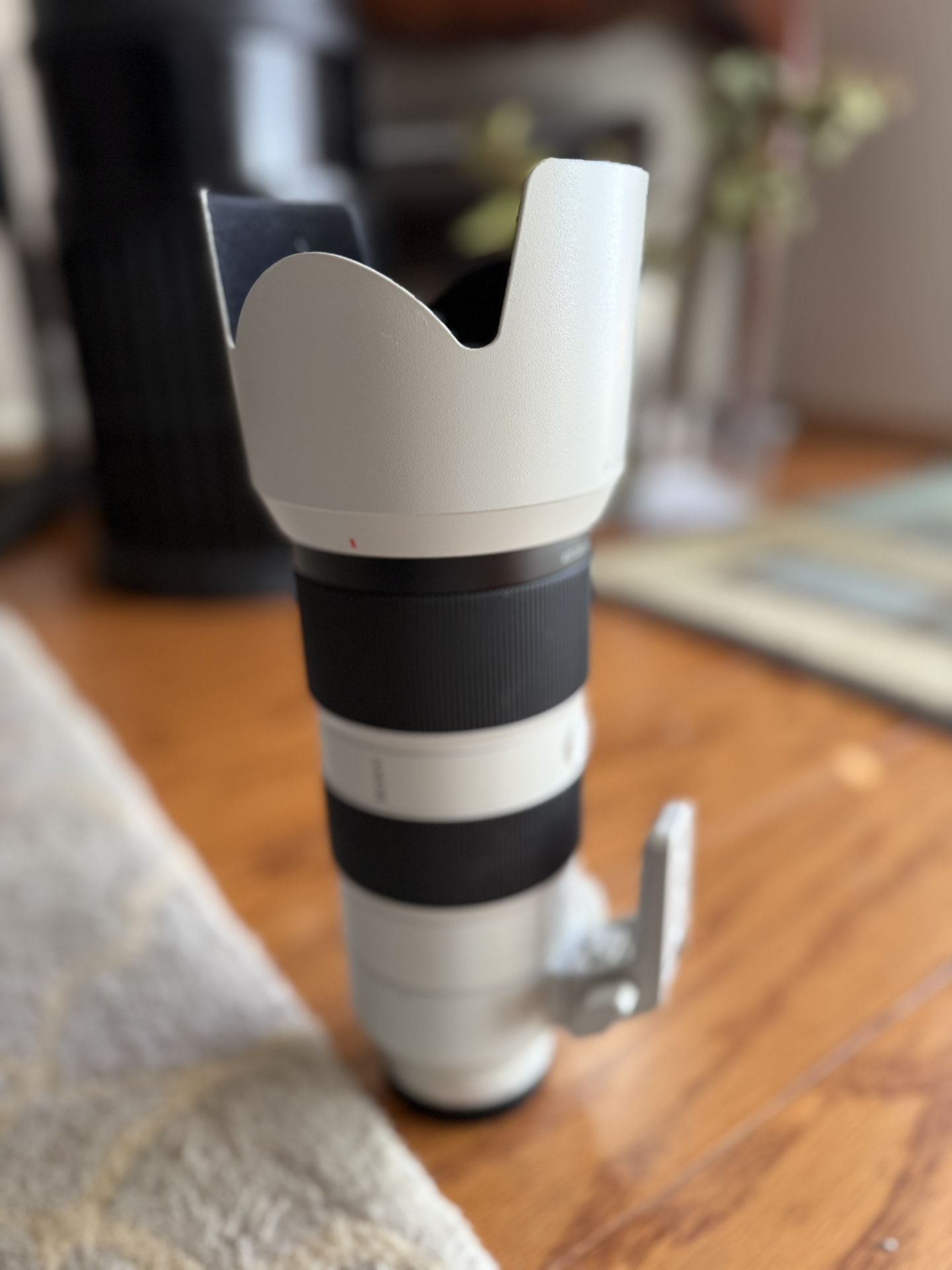 Sony 70-200 2.8 GM Lens
