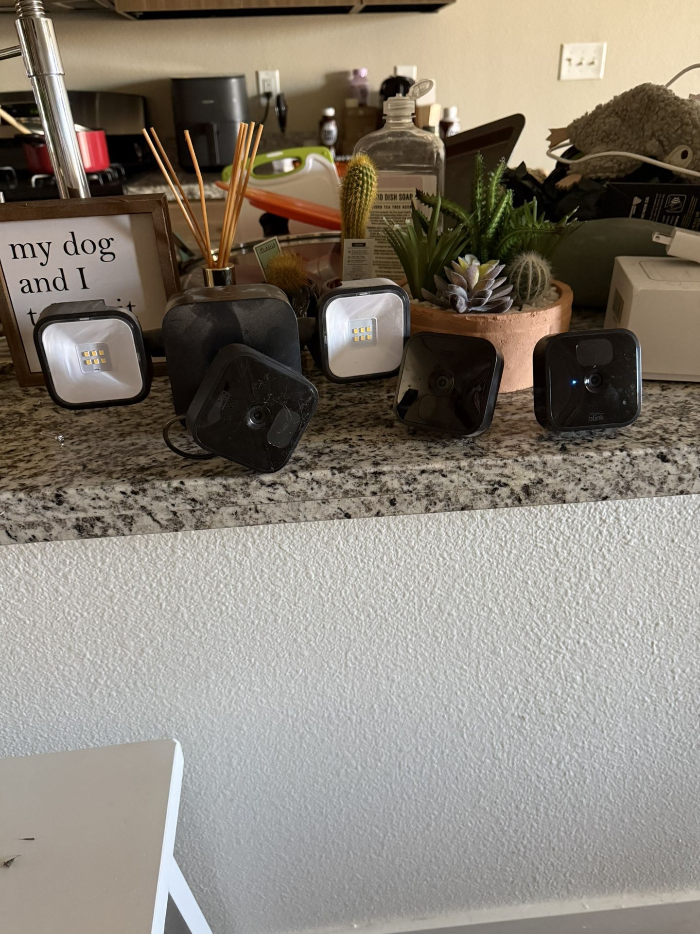 Blink Security Cameras