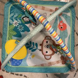 Baby Play Mat
