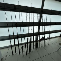 Fishing Rods and Reels