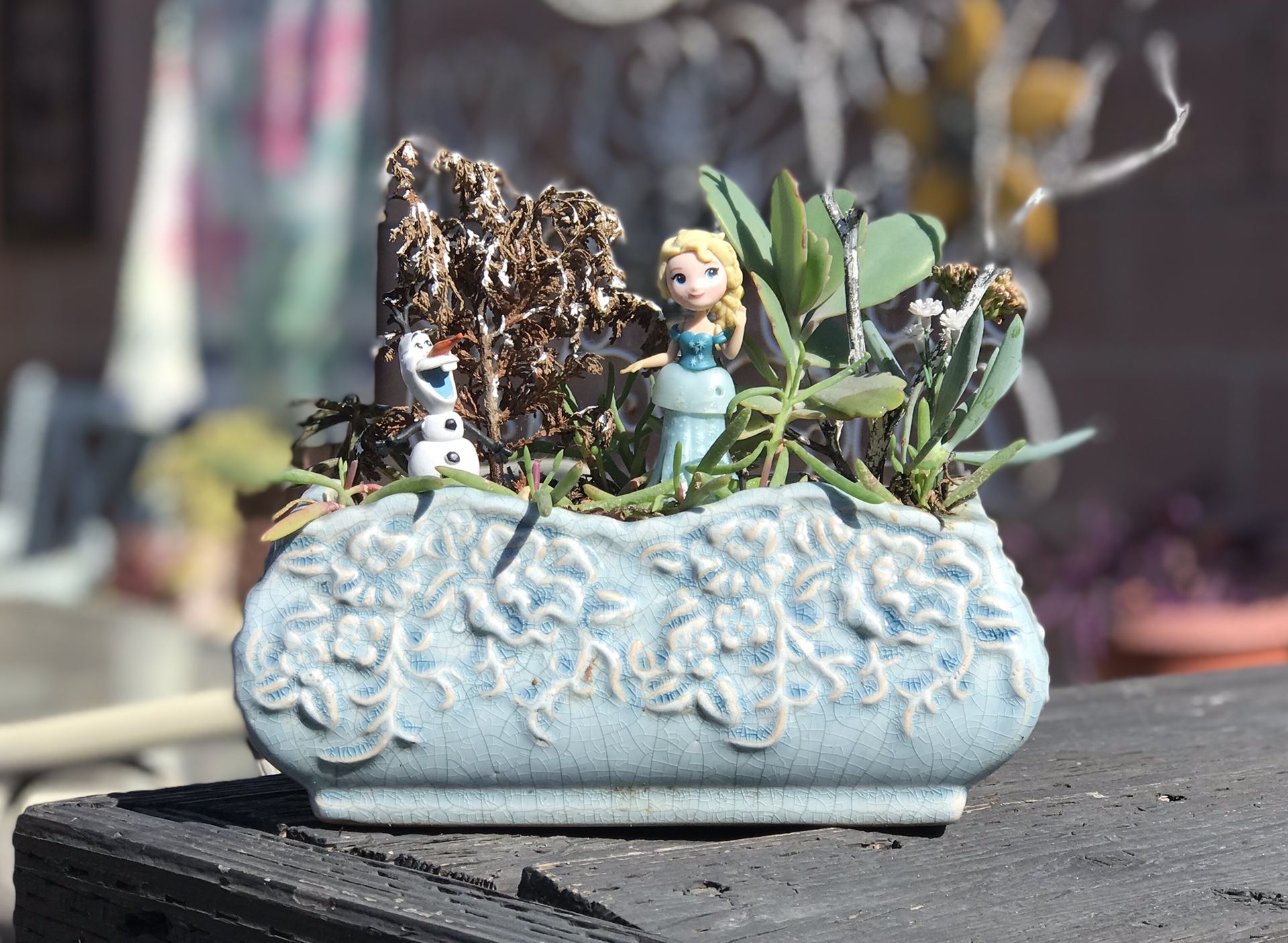 $12 Frozen Elsa Inspired Fairy Garden