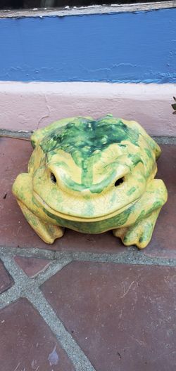 Porcelain Frog