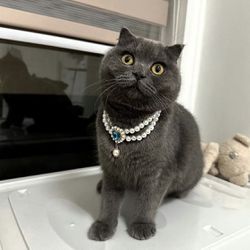 Cat Pearl Necklace | Pearl Cat Collar | Heart Jewelry Decor For Dog & Cat | Cute Cat Collar | Cat Accessories | Bead Cat Collar