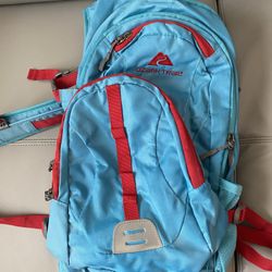 Hydration Backpack 
