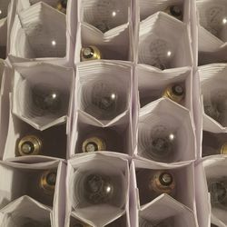 Hytron 60w Brass Base Clear light bulbs