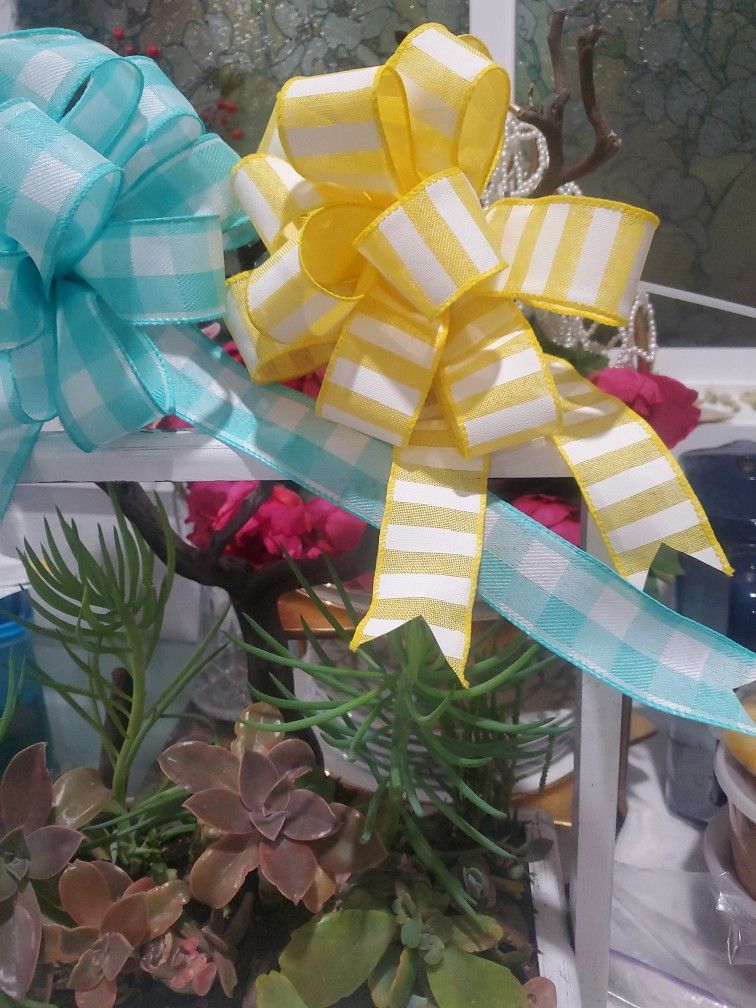 Mother's Day Succulent Arrangement.