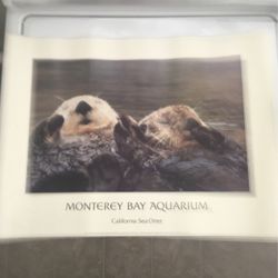 Monterey Bay Aquarium Sea Otters Poster 18” X 24”