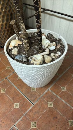 La Jolie Muse Honeycomb Large Planter