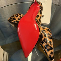 Red Bottom Shoes