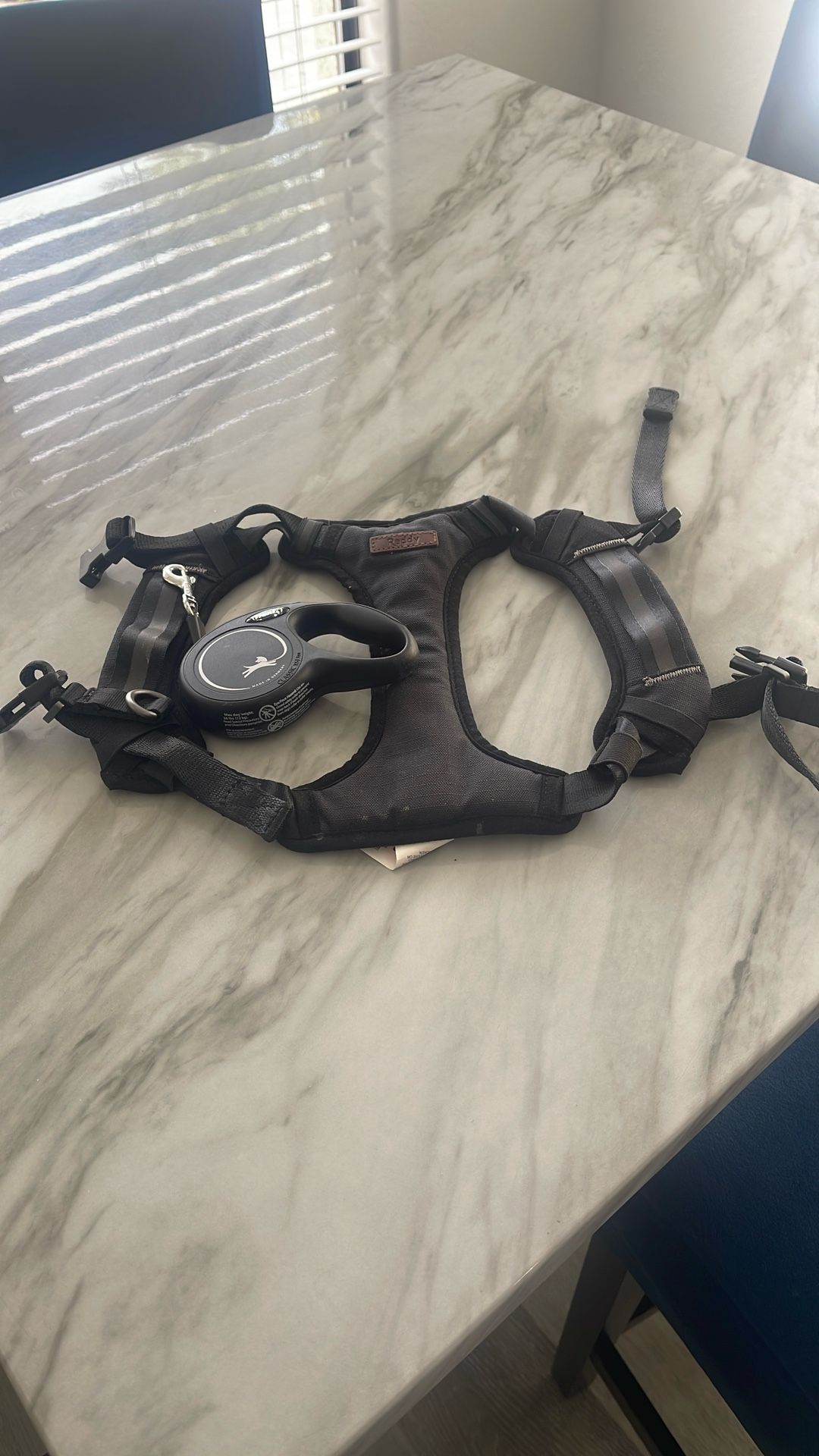 Dog leash And harness