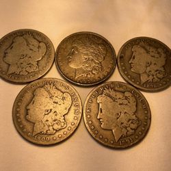 Silver Dollars